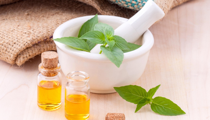 PlantPetz智能花盆把沉闷的植物变成活泼的、跳舞的宠物