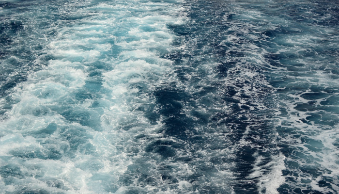 冈瓦纳的秘密:3.9亿年前的海洋之谜解开 冈瓦纳的秘密:3.9亿年前的海洋之谜解开