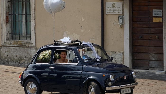 佛罗里达州将禁止狗狗把头伸出车窗外