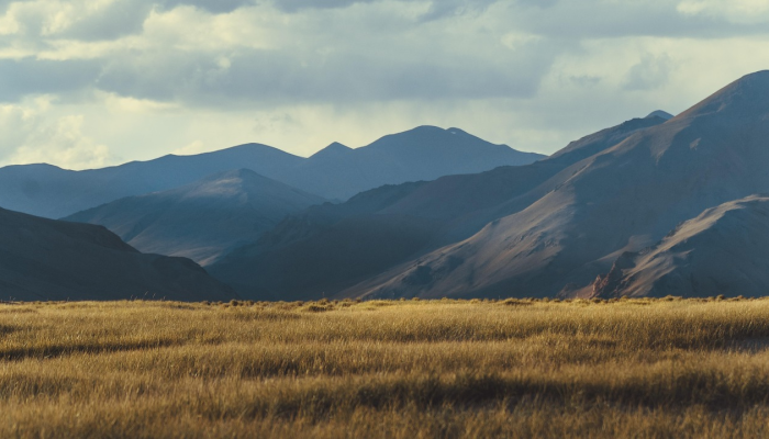 加沙地带：20年来《世界报》一直在报道这片越来越难以进入的领土