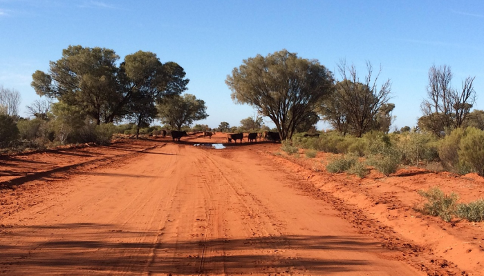 加沙地带：20年来《世界报》一直在报道这片越来越难以进入的领土