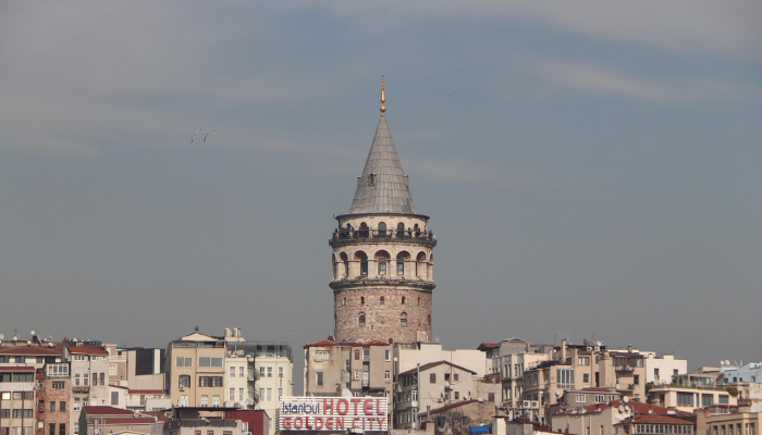 南多的卡塔尔参加了在多哈举行的非洲日庆祝活动 南多的卡塔尔参加了在多哈举行的非洲日庆祝活动